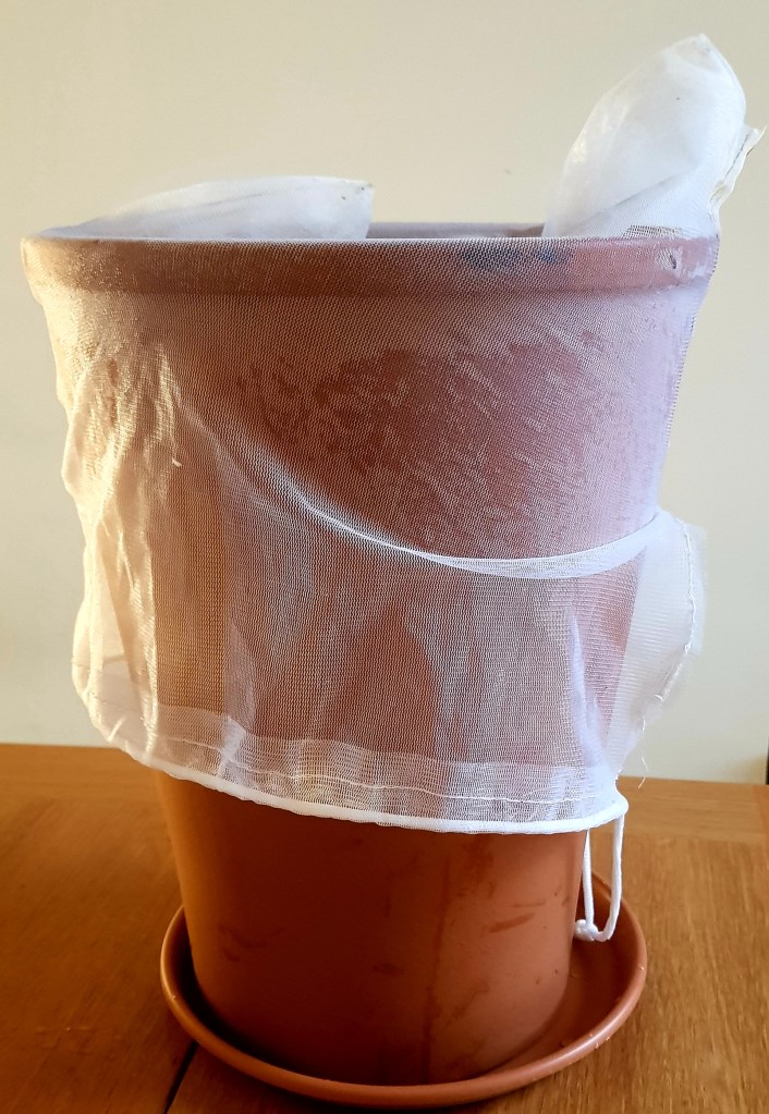 Straight out of Tutankhamun's tomb. 